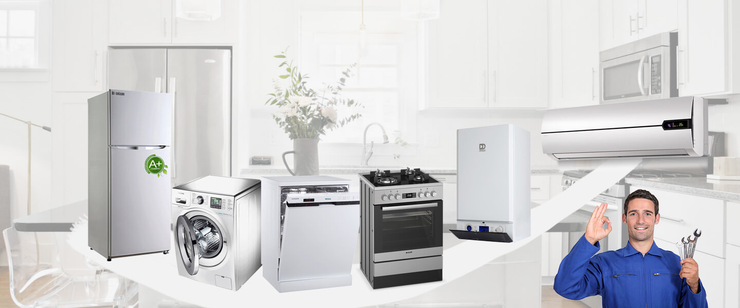 Çifteler Electrolux Servisi